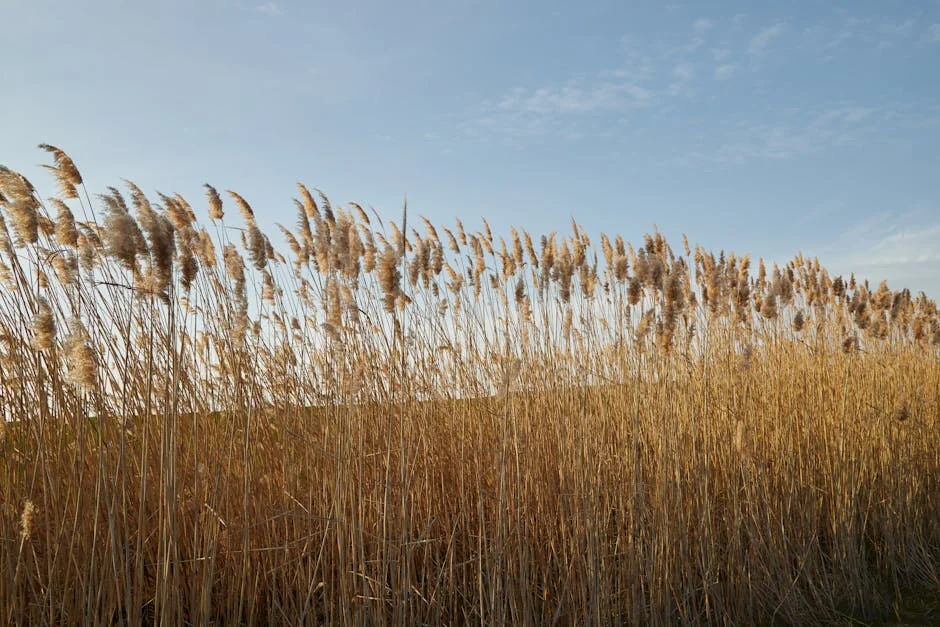 Whats the best way to meditate - stock photo