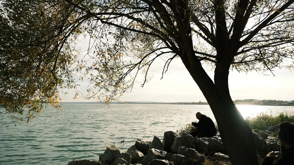 Afternoon meditation guided - stock photo